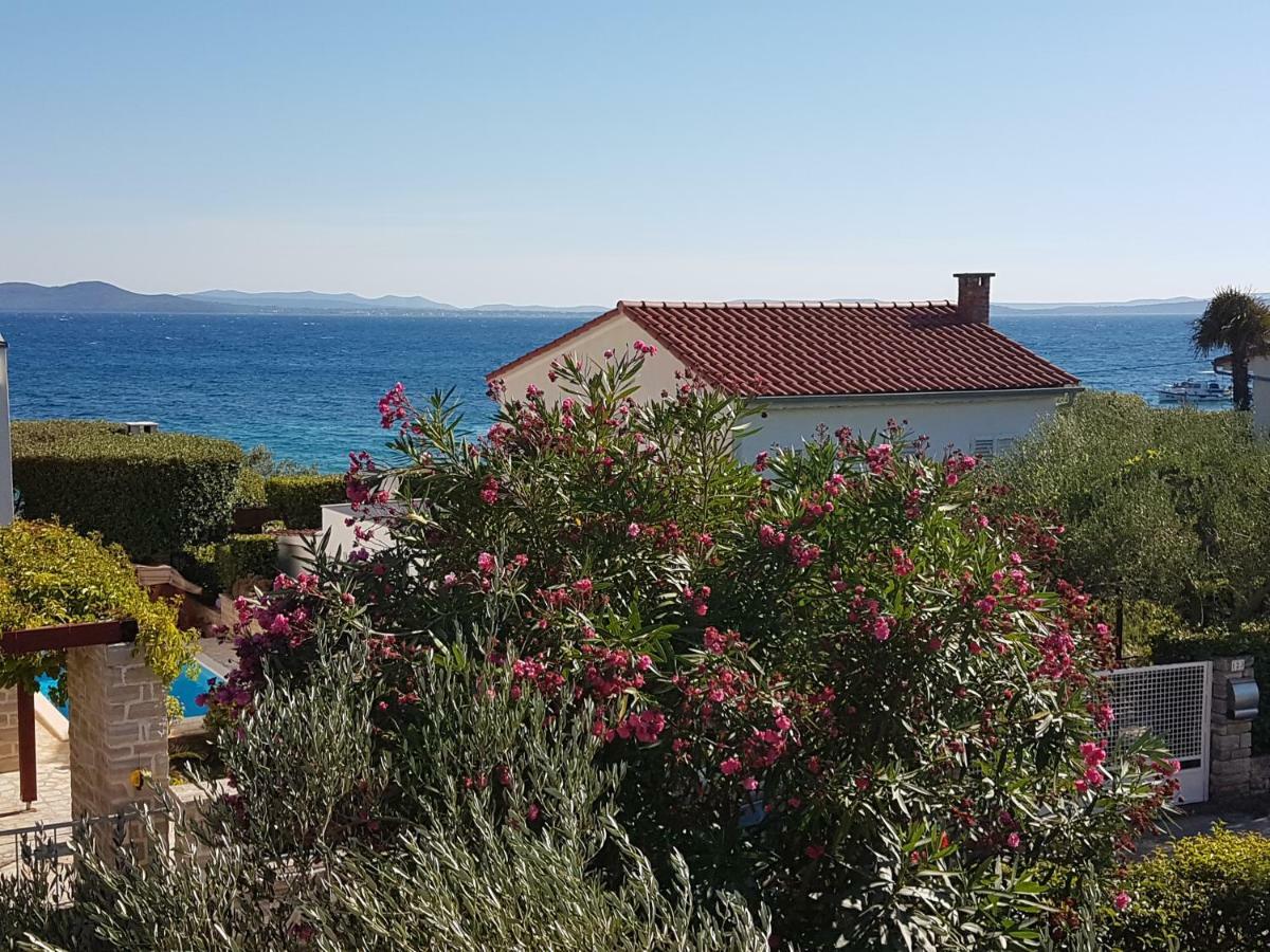 Apartman Roko Petrcane Buitenkant foto